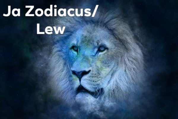 Zodiacus, Lew, teatr, teatr Opole, teatr w Opolu, wieczór humorystyczny,